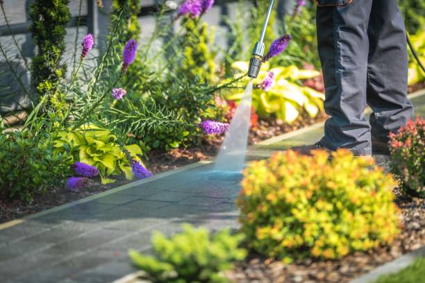 Professional  Pressure Washing Services in Stuart, IA